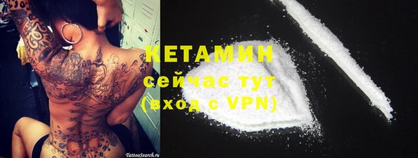 молекула духа Каменка
