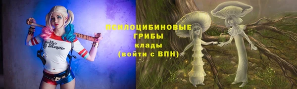 сатива Каменск-Шахтинский