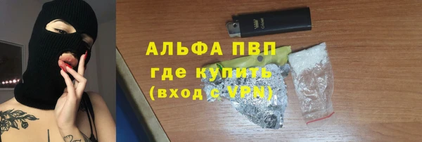 сатива Каменск-Шахтинский
