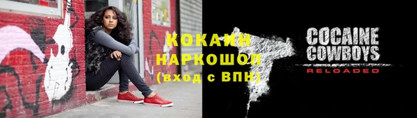 молекула духа Каменка