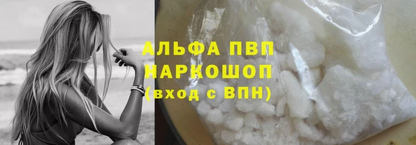 молекула духа Каменка