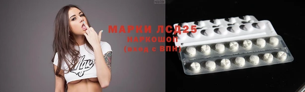 молекула духа Каменка