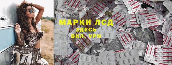 сатива Каменск-Шахтинский