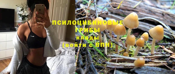 сатива Каменск-Шахтинский