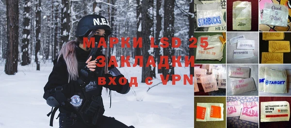 молекула духа Каменка