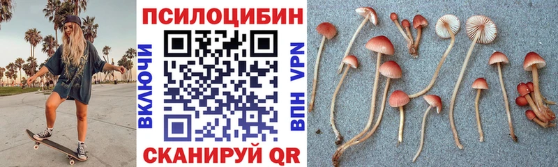 Купить  Бор  Галлюциногенные грибы прущие грибы 